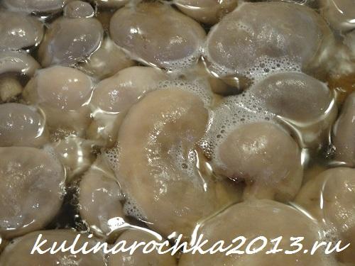 Гриб рядовка маринование. Как приготовить маринованные рядовки:
