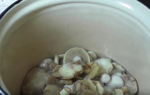 Мариновать маслята без уксуса. Маслята маринованные с лимонной кислотой