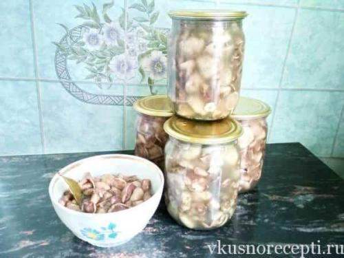 Можно ли мариновать замороженные маслята. Можно ли мариновать замороженные грибы маслята