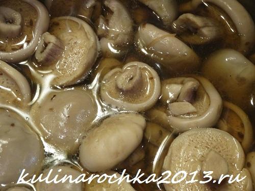 Гриб рядовка маринование. Как приготовить маринованные рядовки: