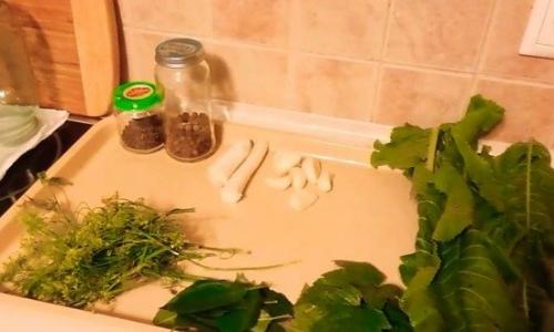 Консервируем белые грибы. Маринованные белые грибы с зеленью — рецепт в банках