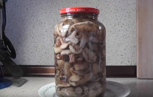Мариновать маслята без уксуса. Маслята маринованные с лимонной кислотой
