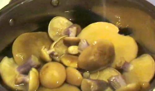 Жареные рядовки с картошкой. Тополиная рядовка: засолка