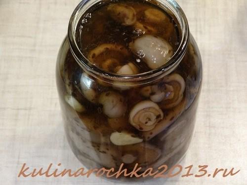 Гриб рядовка маринование. Как приготовить маринованные рядовки: