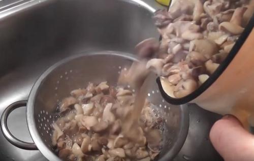 Мариновать маслята без уксуса. Маслята маринованные с лимонной кислотой