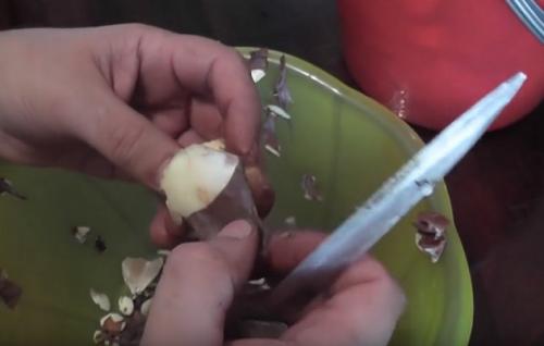 Мариновать маслята без уксуса. Маслята маринованные с лимонной кислотой