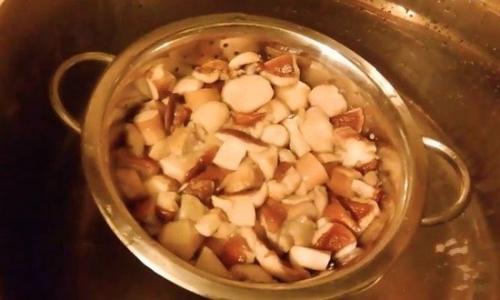 Консервируем белые грибы. Маринованные белые грибы с зеленью — рецепт в банках