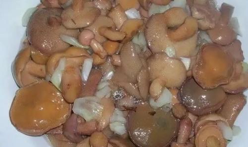 Можно ли мариновать замороженные вареные маслята. Как варить маслята 03 Можно ли мариновать замороженные вареные маслята. Как варить маслята 03