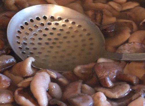 Можно ли мариновать замороженные вареные маслята. Как варить маслята 02 Можно ли мариновать замороженные вареные маслята. Как варить маслята 02