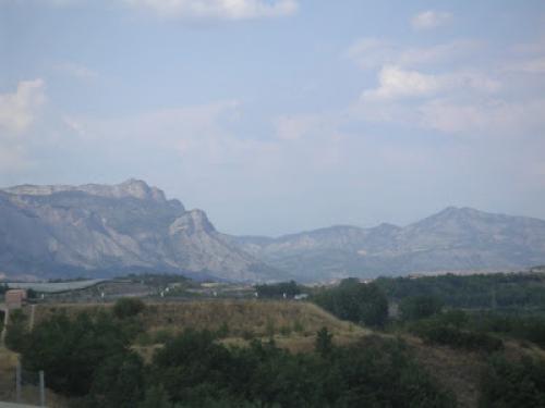 Бараньи отбивные на косточке. Отбивные из баранины