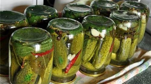 Соленые огурцы на зиму без сахара. Категория: Росчерк пера 03 09 Соленые огурцы на зиму без сахара. Категория: Росчерк пера 03 09