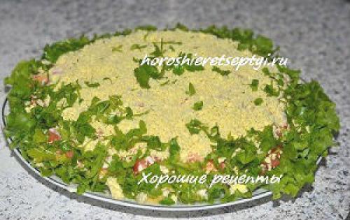 Салат с курицей и помидорами и сыром. Ингредиенты: