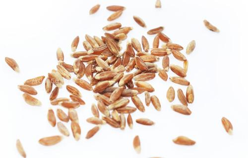 Полба с мясом рецепты приготовления. Аппетитная полба с мясом 03 Полба с мясом рецепты приготовления. Аппетитная полба с мясом 03