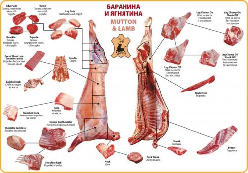 Баранья вырезка на кости. Характерные особенности основных частей туши