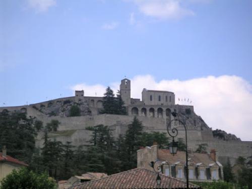 Бараньи отбивные на косточке. Отбивные из баранины