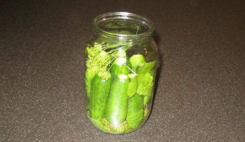 Огурцы изумрудные рецепт с водкой. Сезон заготовок не за горами. Огурчики изумрудные на зиму.