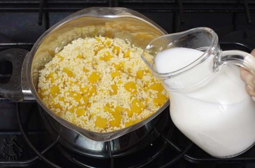 Пшенная каша с тыквой. Как приготовить пшенную кашу с тыквой на молоке — простой рецепт пшенной каши с тыквой на плите с пошаговыми фото