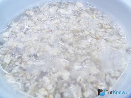 Овсяная каша с медом и орехами. Овсяная каша с черной смородиной, грецкими орехами и медом 08 Овсяная каша с медом и орехами. Овсяная каша с черной смородиной, грецкими орехами и медом 08