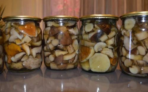 Как вкусно приготовить рядовки. Как правильно готовить рядовки: обработка, соление и маринование грибов 10