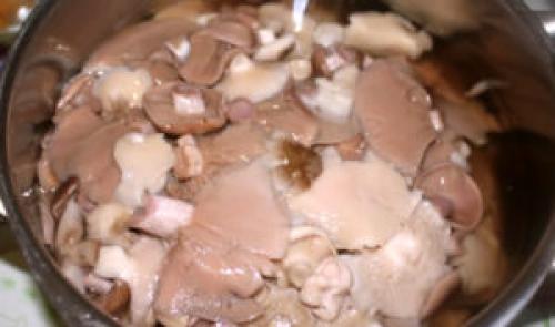 Как вкусно приготовить рядовки. Как правильно готовить рядовки: обработка, соление и маринование грибов