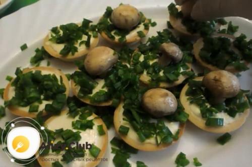 Тарталетки с творожным сыром и грибами. Как приготовить тарталетки с грибами и сыром