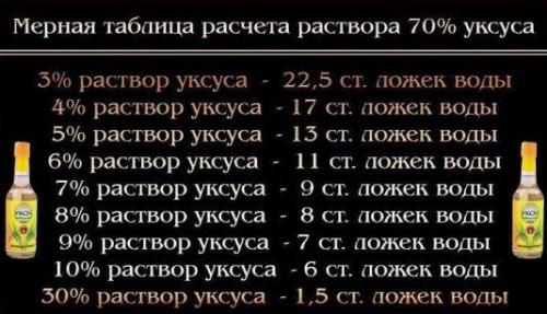 Лечо пальчики оближешь с чесноком. Как приготовить лечо из болгарского перца с чесноком и помидорами (рецепт с зеленью)