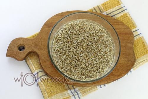 Свиные ребрышки с перловкой. Наваристый рассольник с перловкой и соленым огурцом со свиными ребрышками пошаговый рецепт с фото 08