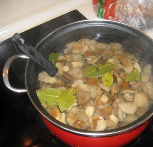 Польский гриб, как готовить на зиму. Опятам - особое внимание