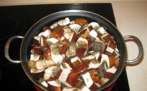 Польский гриб, как готовить на зиму. Опятам - особое внимание