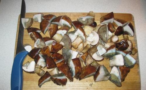 Польский гриб, как готовить на зиму. Опятам - особое внимание