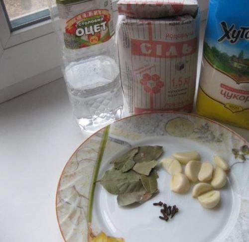 Польский гриб, как готовить на зиму. Опятам - особое внимание