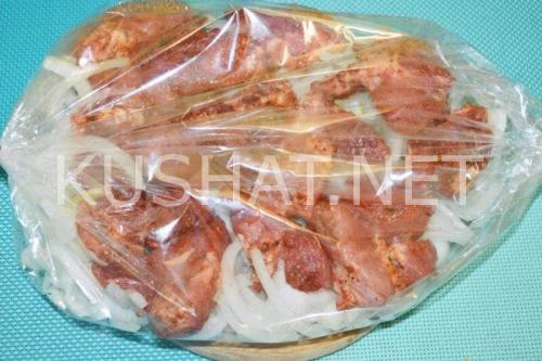 Шашлык в духовке в рукаве на луковой подушке. Шашлык на луковой подушке в духовке – рецепт