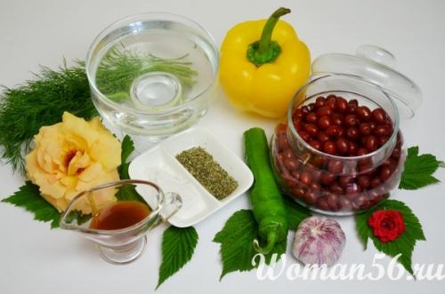 Острый соус из облепихи. Рецепт острого соуса к мясу из облепихи - Обязателно попробуйте!