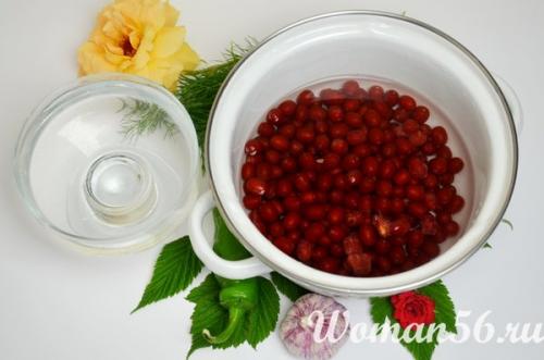 Острый соус из облепихи. Рецепт острого соуса к мясу из облепихи - Обязателно попробуйте!