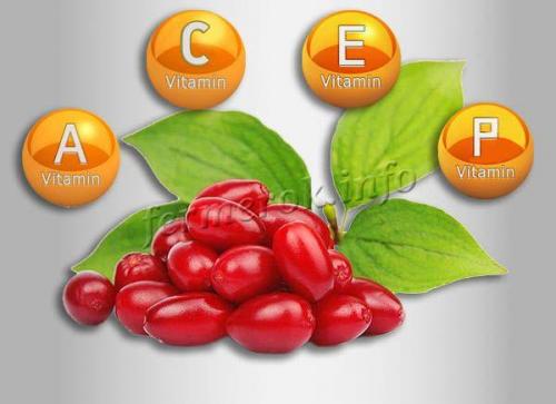 Варенье из кизила по грузински. Польза варенья из кизила