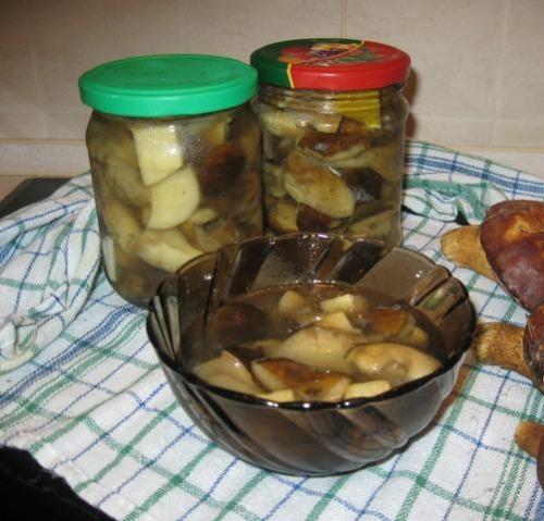 Польский гриб, как готовить на зиму. Опятам - особое внимание