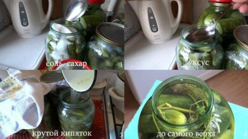 Огурцы маринованные без сахара на зиму рецепты. Огурцы маринованные без сахара 06 Огурцы маринованные без сахара на зиму рецепты. Огурцы маринованные без сахара 06