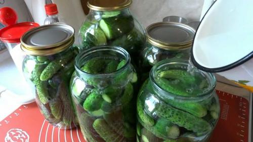 Огурцы маринованные без сахара на зиму рецепты. Огурцы маринованные без сахара 04 Огурцы маринованные без сахара на зиму рецепты. Огурцы маринованные без сахара 04