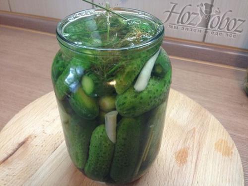 Огурцы маринованные без сахара на зиму рецепты. Огурцы маринованные без сахара 11 Огурцы маринованные без сахара на зиму рецепты. Огурцы маринованные без сахара 11