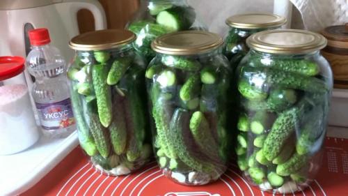 Огурцы маринованные без сахара на зиму рецепты. Огурцы маринованные без сахара 03 Огурцы маринованные без сахара на зиму рецепты. Огурцы маринованные без сахара 03