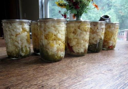 Маринованная цветная капуста, как грибы на зиму. Цветная капуста, маринованная в томате на зиму 16