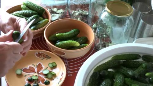 Огурцы маринованные без сахара на зиму рецепты. Огурцы маринованные без сахара 02 Огурцы маринованные без сахара на зиму рецепты. Огурцы маринованные без сахара 02