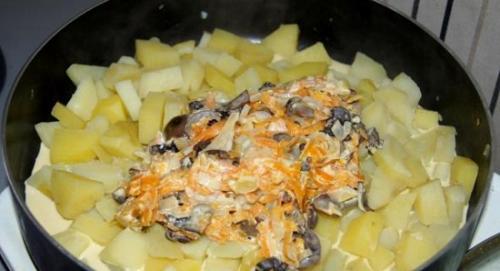 Картошка с шампиньонами в духовке. Кулинарное удовольствие для гурманов: картофельная запеканка в сливочном соусе