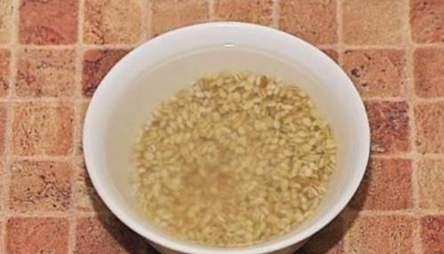 Рассольник по-ленинградски рецепт с почками. Классический рецепт рассольника ленинградский с почками 08 Рассольник по-ленинградски рецепт с почками. Классический рецепт рассольника ленинградский с почками 08