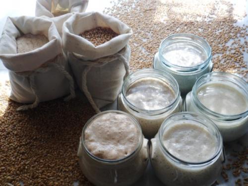 Закваска для хлеба картофельная. Хлеб на закваске картофельный 16