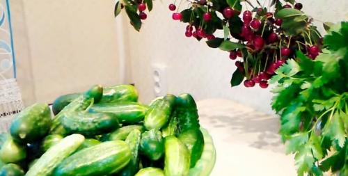 Салат из свежих огурцов на зиму. Салат из огурцов на зиму пальчики оближешь с луком