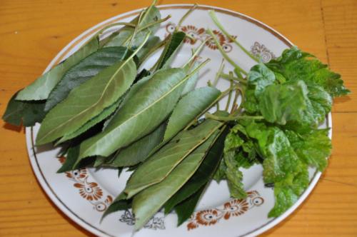 Засолка огурцов с гвоздикой. Солёные, зелёные, острые и хрустящие Солёные огурцы — короли всех праздничных столов. Редкая хозяйка не припасёт парочку банок этого традиционного яства к каждой семейной дате. И чтобы никто не остался разочарованным своими за 10 Засолка огурцов с гвоздикой. Солёные, зелёные, острые и хрустящие Солёные огурцы — короли всех праздничных столов. Редкая хозяйка не припасёт парочку банок этого традиционного яства к каждой семейной дате. И чтобы никто не остался разочарованным своими за 10