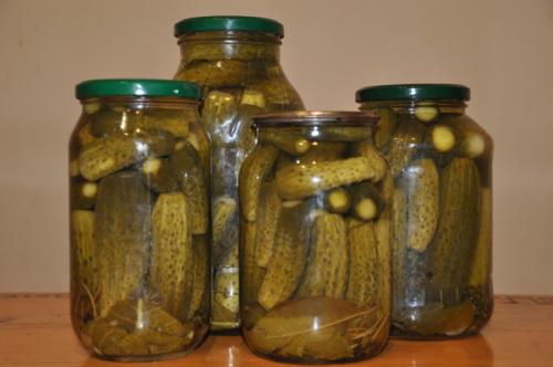 Засолка огурцов с гвоздикой. Солёные, зелёные, острые и хрустящие Солёные огурцы — короли всех праздничных столов. Редкая хозяйка не припасёт парочку банок этого традиционного яства к каждой семейной дате. И чтобы никто не остался разочарованным своими за 05 Засолка огурцов с гвоздикой. Солёные, зелёные, острые и хрустящие Солёные огурцы — короли всех праздничных столов. Редкая хозяйка не припасёт парочку банок этого традиционного яства к каждой семейной дате. И чтобы никто не остался разочарованным своими за 05