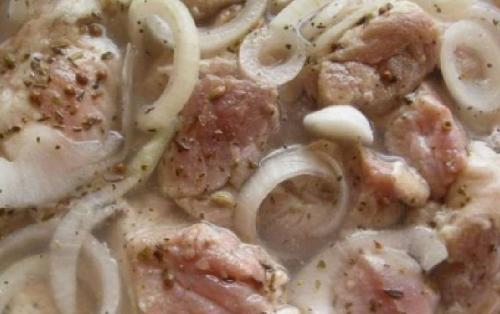 Шашлык на шпажках на углях. Шашлык из свинины в духовке на шпажках