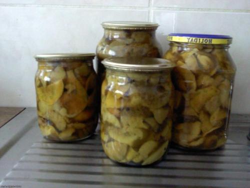 Как приготовить грибы рядовки на зиму. Основные способы соления